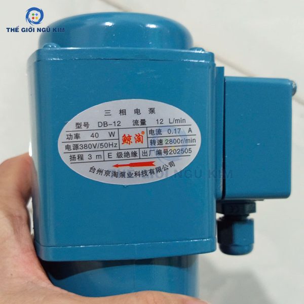 Máy bơm nước DB-12/AB-25/DB-25/DB-50 - Hình ảnh 6